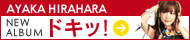 平原綾香「NOT A LOVE SONG」