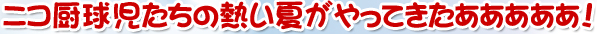ニコ厨球児たちの熱い夏がやってきたああああ！
